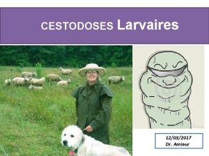 CESTODOSES Larvaires 12032017 Dr Amiour CESTODES LARVAIRES Homme