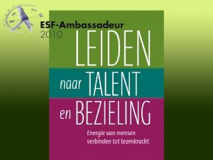 Iedereen heeft Talent 3 vragen over talent in