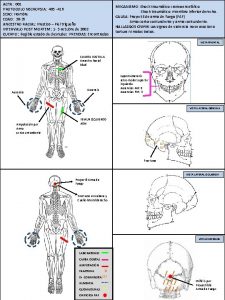 ACTA 001 PROTOCOLO NECROPSIA 405 416 SEXO Hombre