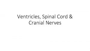 Ventricles Spinal Cord Cranial Nerves Objectives Identify cranial