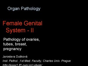 Organ Pathology Female Genital System II Pathology of