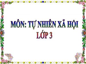 Khi ng v nghe bi ht C nh