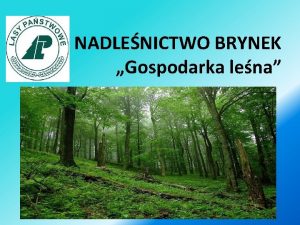 NADLENICTWO BRYNEK Gospodarka lena Nadlenictwo Brynek tworz lasy