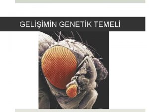 GELMN GENETK TEMEL Prof Dr Bekta TEPE Kaynak