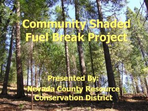 Community Shaded Fuel Break Project Presented By Nevada