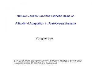 Natural Variation and the Genetic Basis of Altitudinal