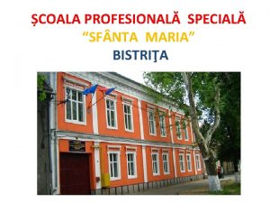 COALA PROFESIONAL SPECIAL SF NTA MARIA BISTRIA FII