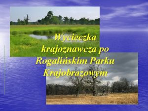 Wycieczka krajoznawcza po Rogaliskim Parku Krajobrazowym Rogaliski Park