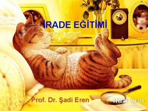 RADE ETM Prof Dr adi Eren nsan hr