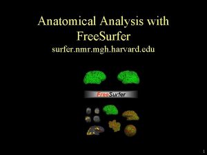 Anatomical Analysis with Free Surfer surfer nmr mgh