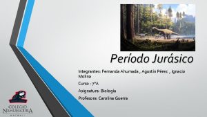 Perodo Jursico Integrantes Fernanda Ahumada Agustn Prez Ignacio