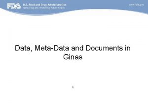 Data MetaData and Documents in Ginas Data and