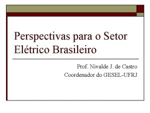 Perspectivas para o Setor Eltrico Brasileiro Prof Nivalde