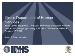 Illinois Department of Human Services State Opioid Response