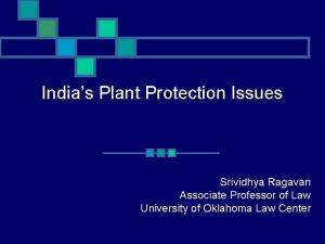 Indias Plant Protection Issues Srividhya Ragavan Associate Professor