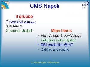 CMS Napoli Il gruppo 7 ricercatori FTE 5