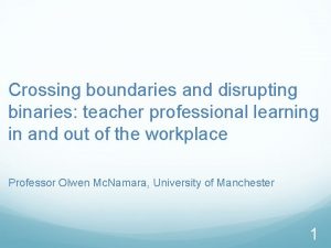 Crossing boundaries and disrupting binaries teacher professional learning