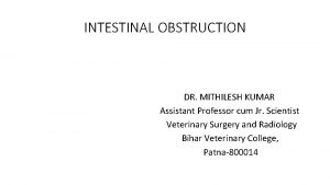 INTESTINAL OBSTRUCTION DR MITHILESH KUMAR Assistant Professor cum