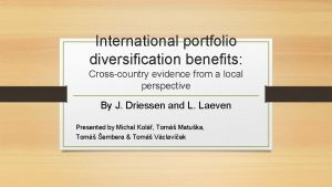 International portfolio diversification benefits Crosscountry evidence from a