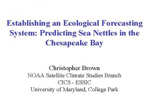 Establishing an Ecological Forecasting System Predicting Sea Nettles