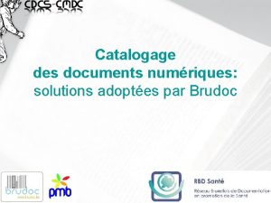 Catalogage des documents numriques solutions adoptes par Brudoc