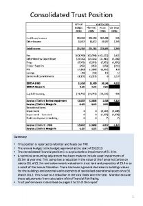 Consolidated Trust Position Summary This position is reported