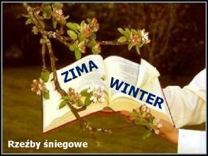 A M ZI Rzeby niegowe WI NT ER