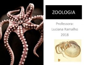 ZOOLOGIA Professora Luciana Ramalho 2018 CLASSIFICAO Reino Filo