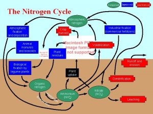 Component Input to soil Loss from soil The