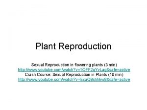 Plant Reproduction Sexual Reproduction in flowering plants 3