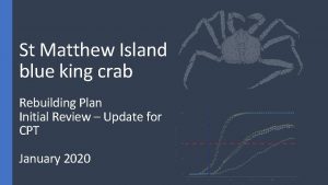 St Matthew Island blue king crab Rebuilding Plan