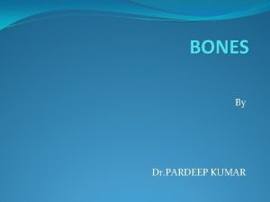 BONES By Dr PARDEEP KUMAR Bones Bone is