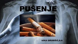 PUENJE NIKA GRUBII 8 A POVIJEST PUENJA Puenje