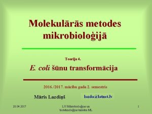 Molekulrs metodes mikrobioloij Teorija 4 E coli nu