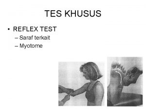 TES KHUSUS REFLEX TEST Saraf terkait Myotome TES