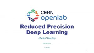 Reduced Precision Deep Learning Student Meeting Florian Rehm