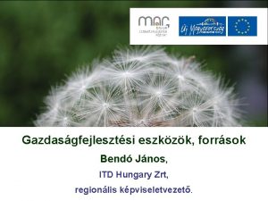 Gazdasgfejlesztsi eszkzk forrsok Bend Jnos ITD Hungary Zrt