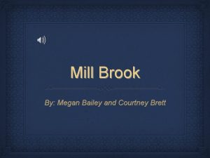 Mill Brook By Megan Bailey and Courtney Brett
