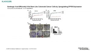 Gambogic Acid Efficiently Kills StemLike Colorectal Cancer Cells