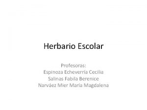 Herbario Escolar Profesoras Espinoza Echeverra Cecilia Salinas Fabila