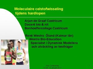 Hardlopen castricum