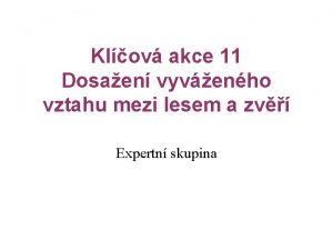 Klov akce 11 Dosaen vyvenho vztahu mezi lesem