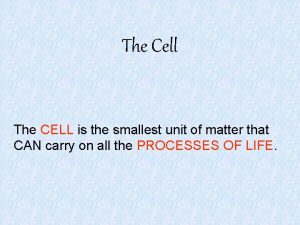 The Cell The CELL is the smallest unit