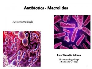 Antibiotics Macrolides Antimicrobials Prof Gamal A Soliman Pharmacology