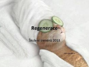 Regenerace kolen trenr 2018 Foto www kb 5