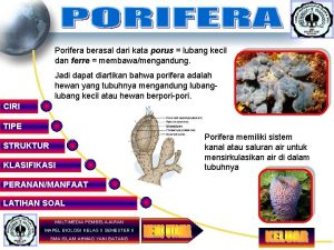 Porifera berasal dari kata porus lubang kecil dan