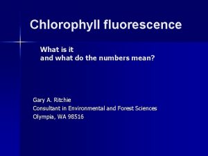 Chlorophyll fluorescence What is it and what do