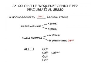 CALCOLO DELLE FREQUENZE GENICHE PER GENI LEGATI AL