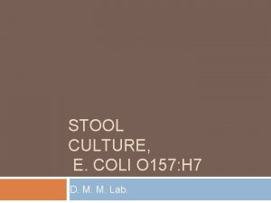 STOOL CULTURE E COLI O 157 H 7