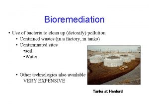 Bioremediation Use of bacteria to clean up detoxify